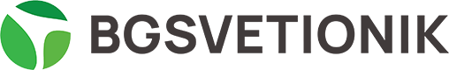 BGSvetionik – Web hosting Beograd